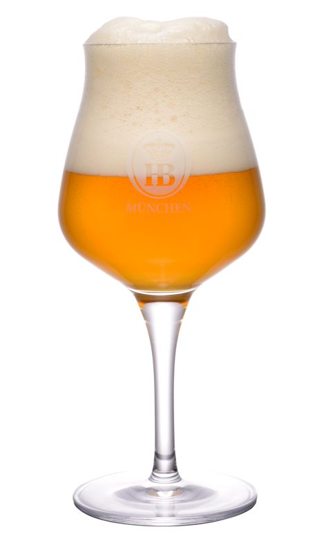 Verkostungsglas mit Hofbräuhaus München Logo, gefüllt mit goldfarbenem Bier und dichter Schaumkrone.
